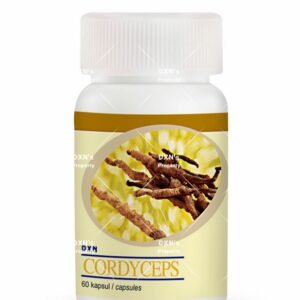 Cordyceps- 60 cápsulas
