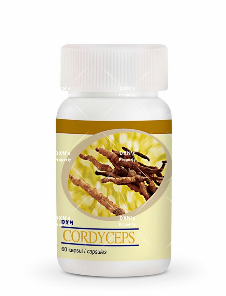 Cordyceps- 60 cápsulas